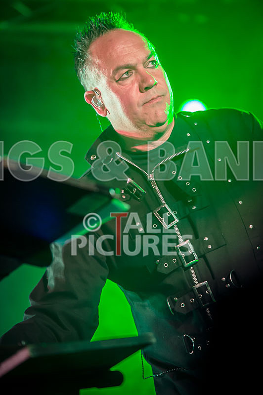 Fade to Grey-285 - FADE TO GREY