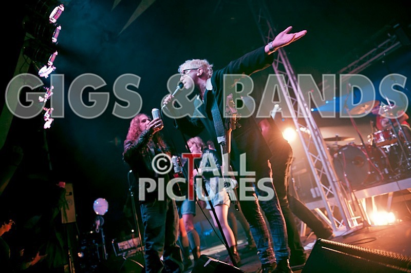 Top Buzzer-2 - TOP BUZZER