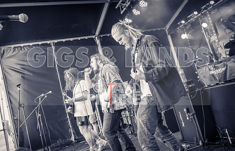 The Dust-28 - THE DUST