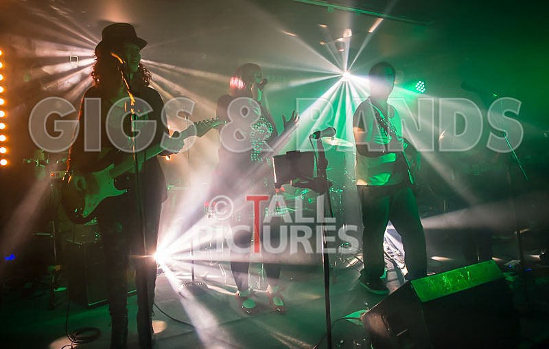 Static Alice-65 - STATIC ALICE