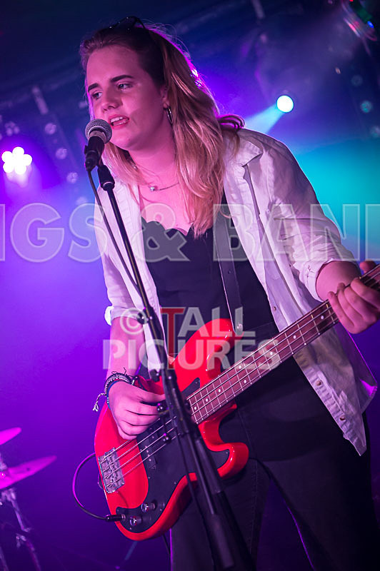 Purple Paradox-5 - PURPLE PARADOX