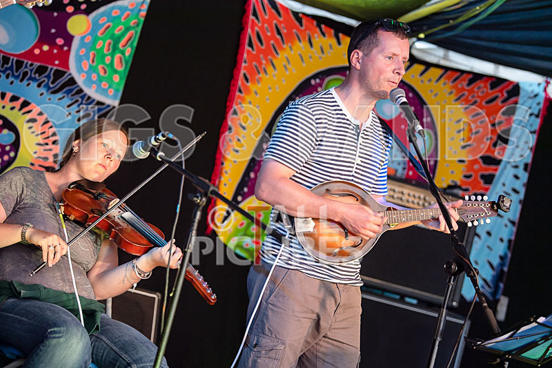 Seigneur Hedge Veg-15 - SEIGNEUR HEDGE VEG