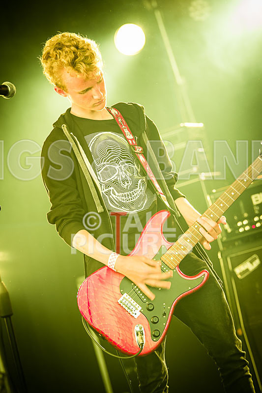 The Violet Diversion-6 - THE VIOLET DIVERSION