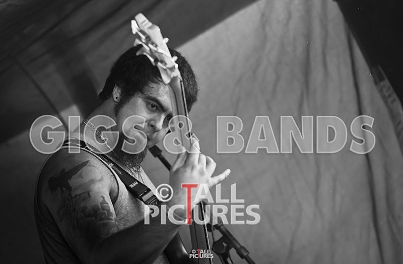 Five Across the Eyes-64 - FIVE ACROSS THE EYES