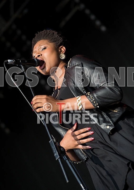 Maverick Sabre-81 - MAVERICK SABRE