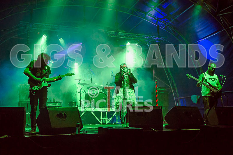 Static Alice-497 - STATIC ALICE