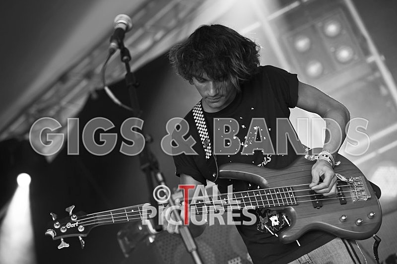 Pirate Video Company-3 - PIRATE VIDEO COMPANY