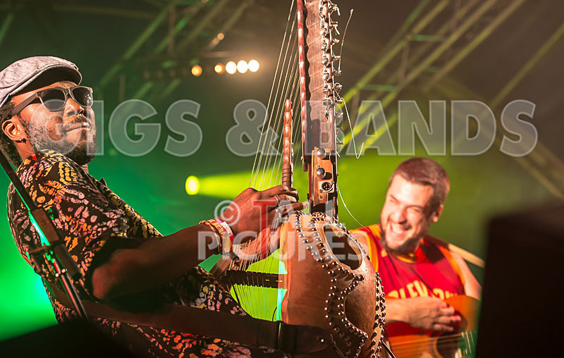 Joe Driscoll Sekou Kouyate-19 - JOE DRISCOLL & SEKOU KOUYATE