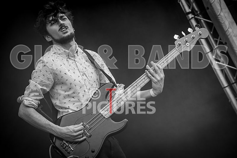 Joe Young  the Bandits-42 - JOE YOUNG & THE BANDITS