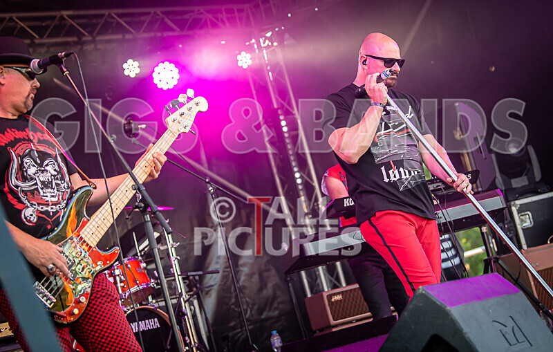 The Rubix-155 - THE RUBIX