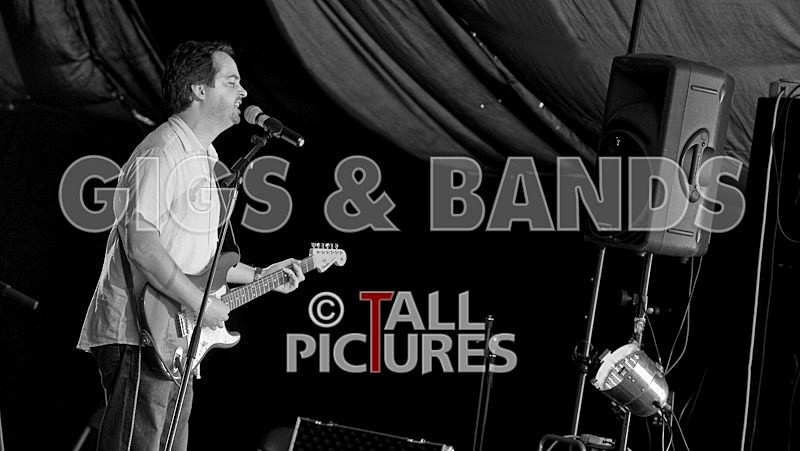 Wild Card-10 - HOGWASH 2009 - BANDS