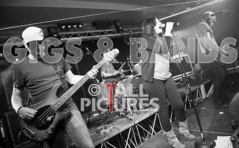 Teaspoonriverneck-261 - TEASPOONRIVERNECK