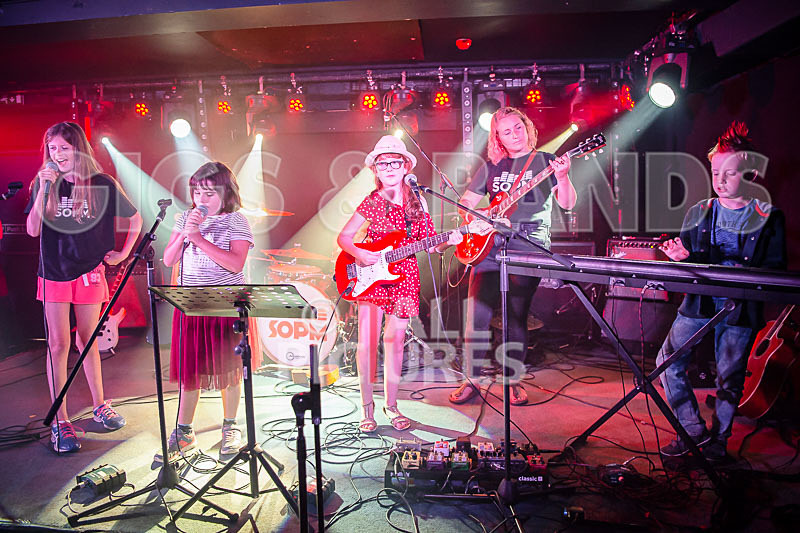 The Flaming Flamingos-13 - THE FLAMING FLAMINGOES