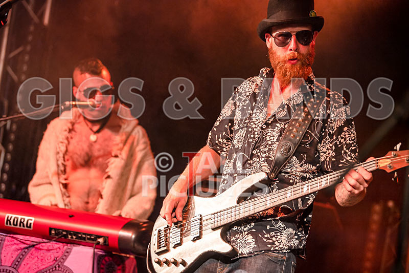 Surfin Birds-61 - SURFIN' BIRDS