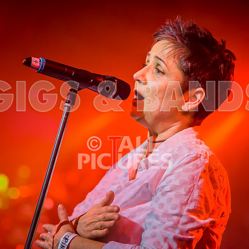 King Rat  the Soul Cats-338 - KING RAT AND THE SOUL CATS