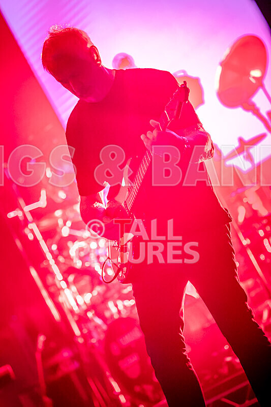 Elysium as Pink Floyd-234 - ELYSIUM as PINK FLOYD