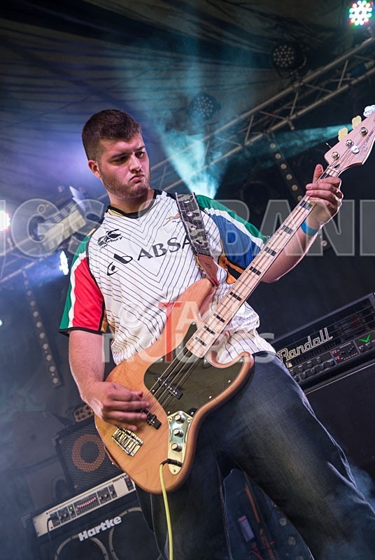 Chaos 2013_Demise of Sanity-6 - DEMISE OF SANITY