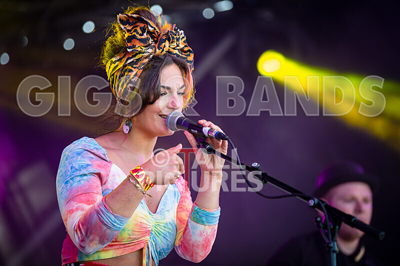 Eloise Fabbri  the Big Bad Beauty Band-43 - ELOISE FABBRI & THE BIG BAD BEAUTY BAND