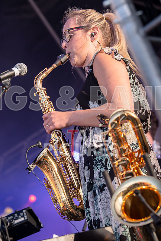 The Bowie Experience-29 - THE BOWIE EXPERIENCE