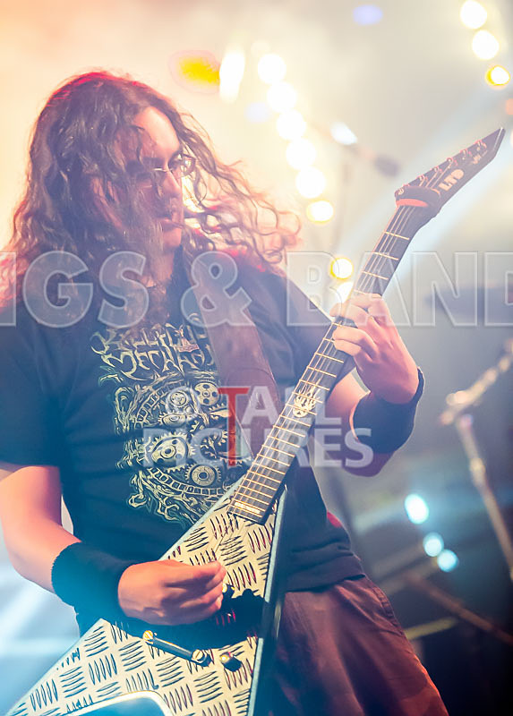 Demise of Sanity-41 - DEMISE OF SANITY