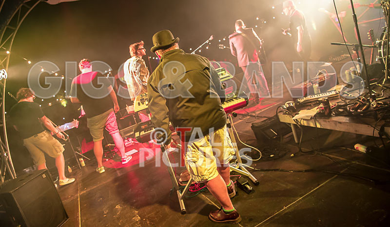 Sons of the Desert-342 - SONS OF THE DESERT