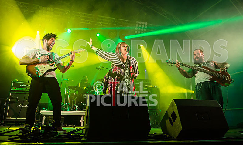 Static Alice-582 - STATIC ALICE