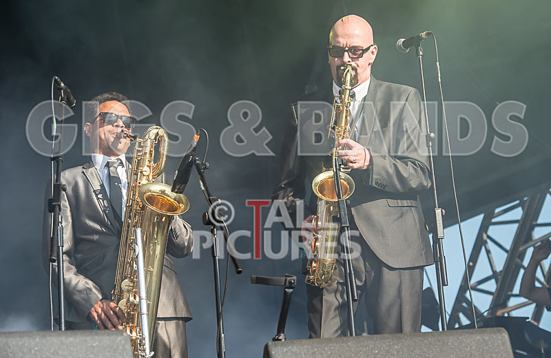 The Selecter-32 - THE SELECTER