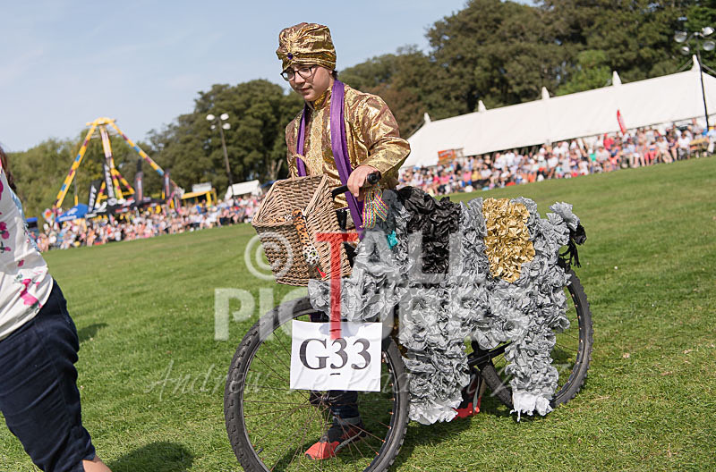 North Show 2017-159 - NORTH SHOW 2017