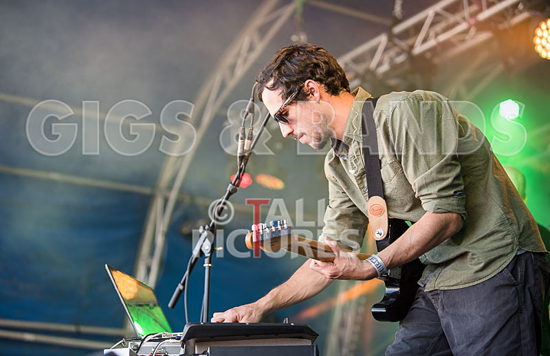 Tree House Fire-30 - TREE HOUSE FIRE