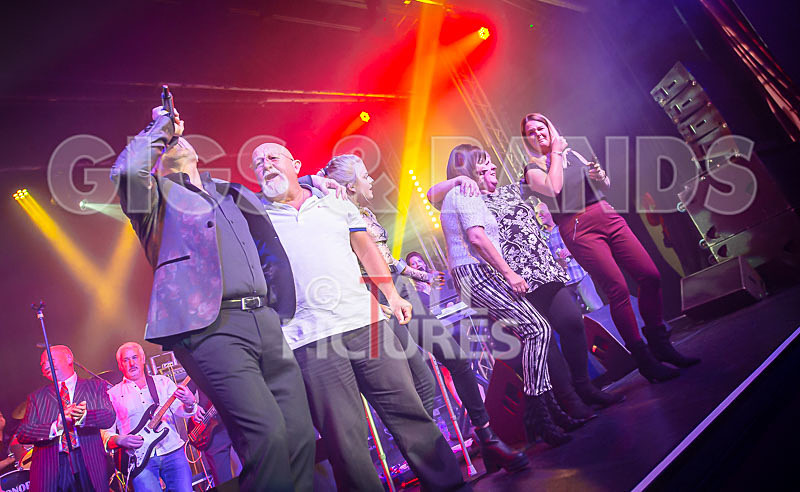 Harry Dean Junior and the New Breed-4 - HARRY DEAN JUNIOR AND THE NEW BREED