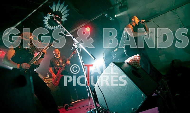 Breed77-10 - BREED77