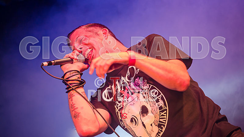 Spunge-152 - [spunge]