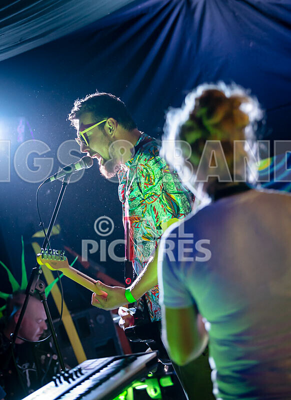 Honest Crooks-249 - HONEST CROOKS