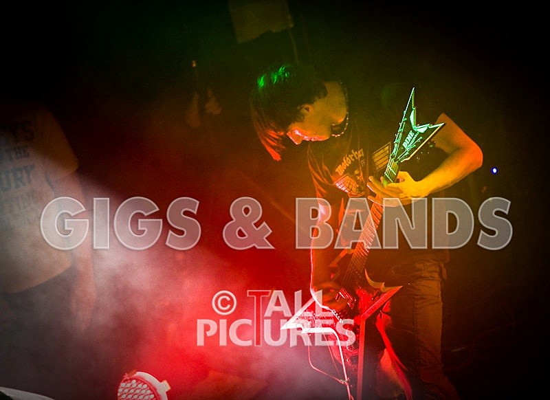 Brutus Stonefist-16 - BRUTUS STONEFIST at RoA-2