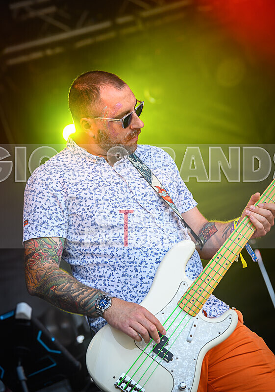 Neon Fire-3 - NEON FIRE