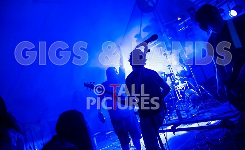 Stone Em All-104 - STONE EM ALL