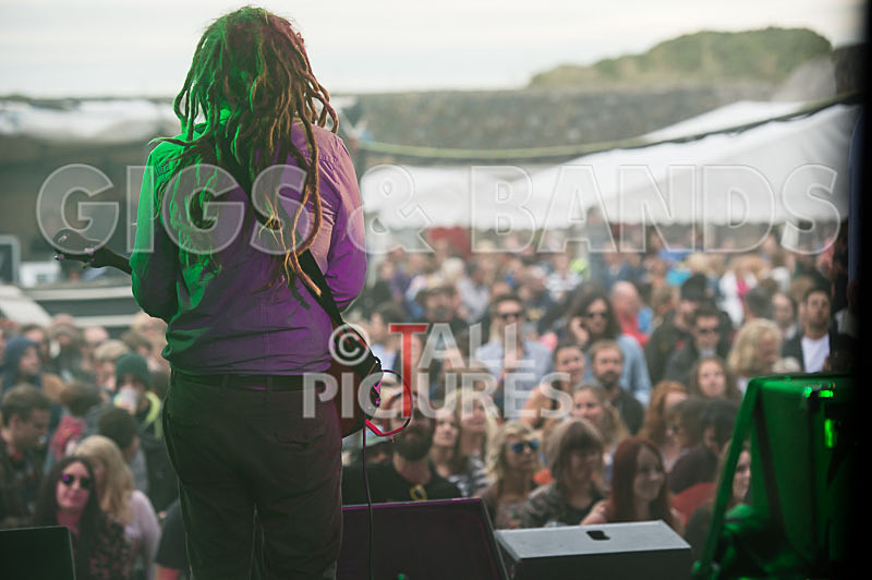 The Recks-323 - THE RECKS