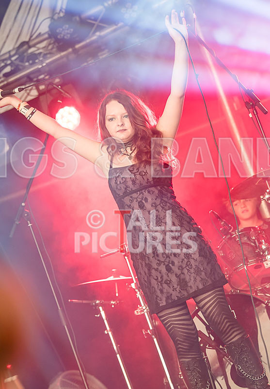 The Violet Diversion-3 - THE VIOLET DIVERSION