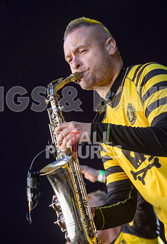 Dubioza Kolektiv-65 - DUBIOZA KOLEKTIV