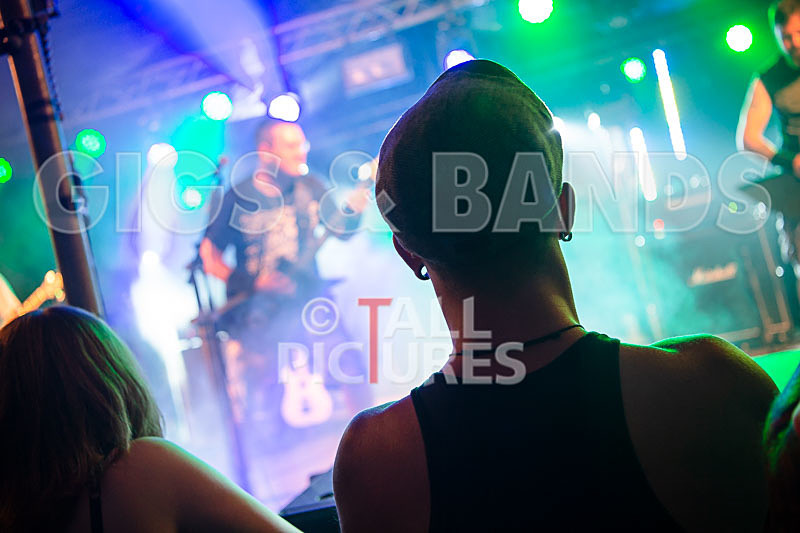 Demise of Sanity-178 - DEMISE OF SANITY