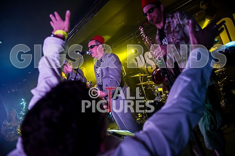 Sons of the Desert-142 - SONS OF THE DESERT