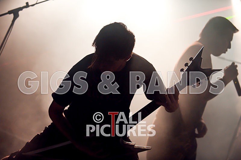 Brutus Stonefist-66 - BRUTUS STONEFIST at RoA-3