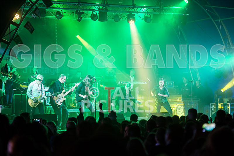 King Rat and the Soul Cats-235 - KING RAT AND THE SOUL CATS