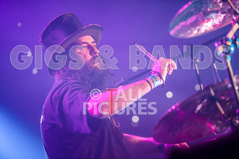 Peppered Ant Legs-188 - PEPPERED ANT LEGS