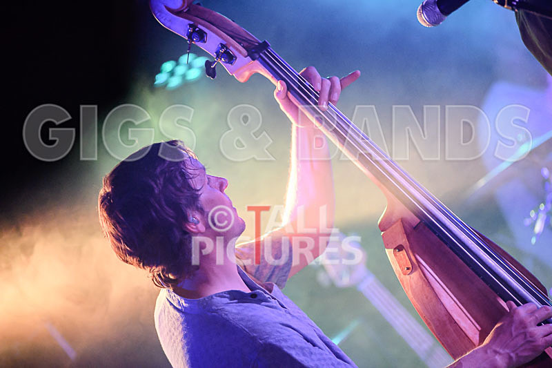 Buffalo Huddleston-496 - BUFFALO HUDDLESTON