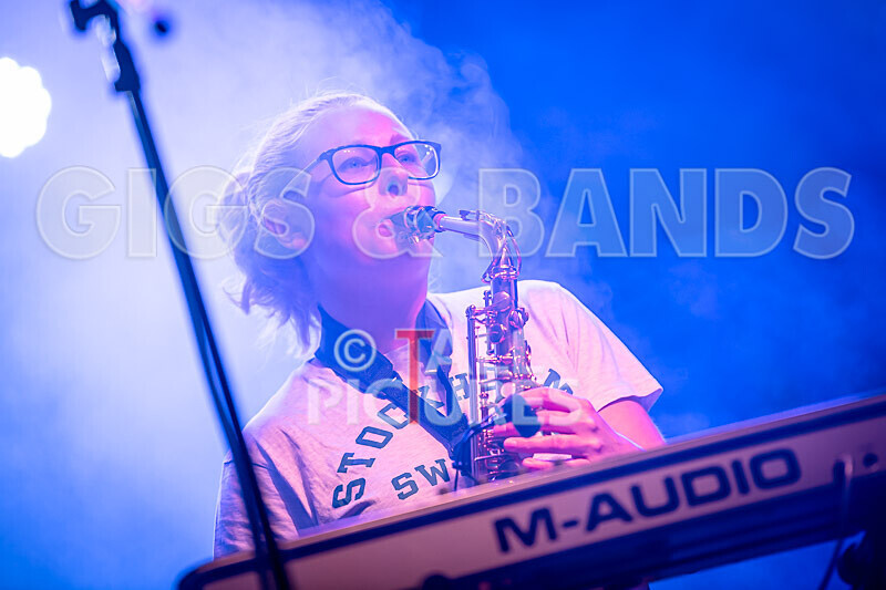 Honest Crooks-226 - HONEST CROOKS