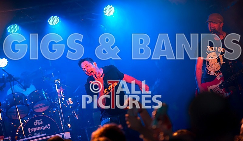 Spunge-39 - [spunge]