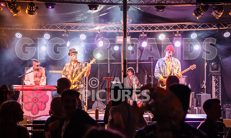 Surfin Birds-60 - SURFIN' BIRDS