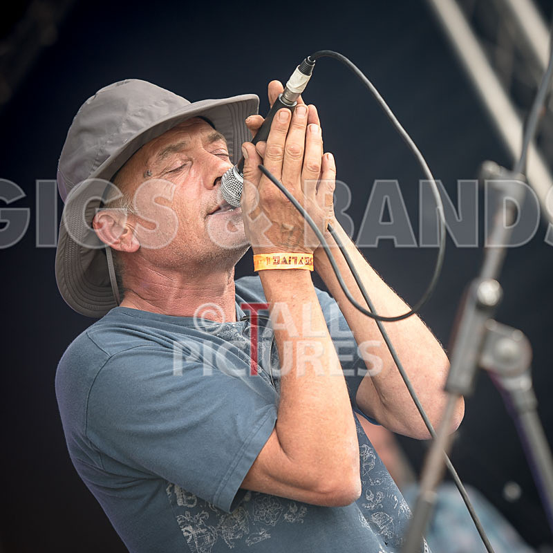 Raw Prawn-3 - RAW PRAWN