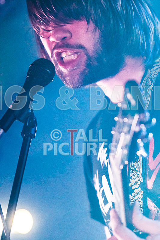 To the Woods-432 - TO THE WOODS